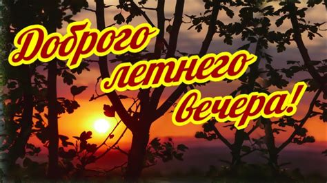 Доброго летнего вечера и душевного общения! - YouTube