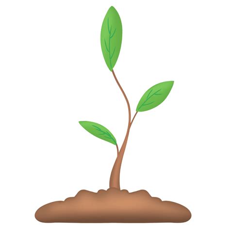 Small sapling icon 37332950 PNG