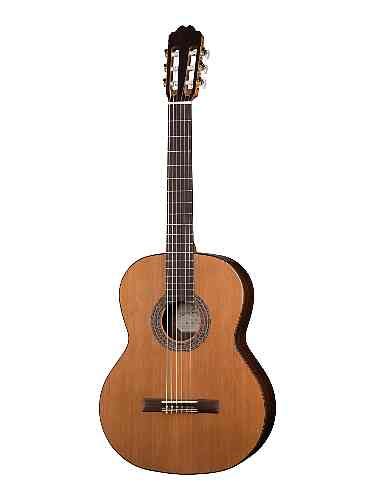 Классическая гитара Kremona F65C Fiesta Soloist Series купить по цене ...