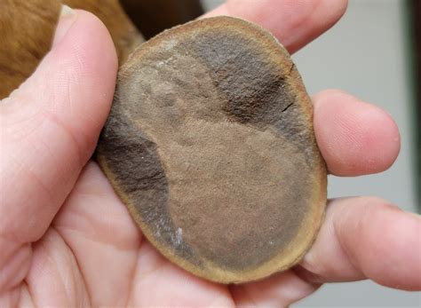 Digital restoration will soon bring tom tully actor films to 4K 23