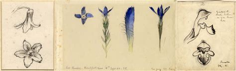 Джон Рескин (John Ruskin) • Все о дизайне для дизайнеров