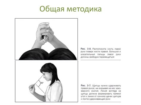 Ортодонтические изгибы, их виды и техника нанесения на ортодонтические ...