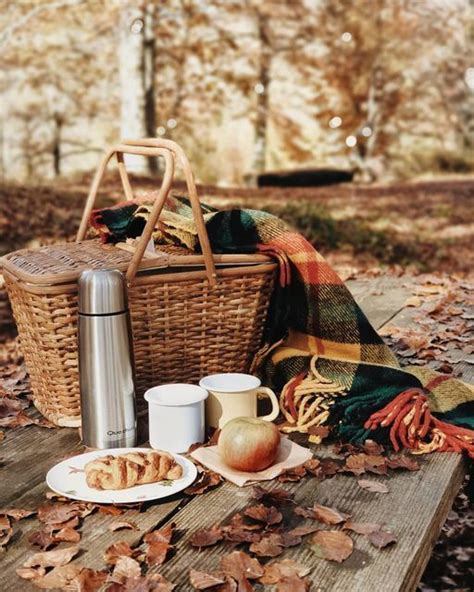 Pin by Ell lauren on f a l l in 2024 | Fall picnic, Fall picnic food ...