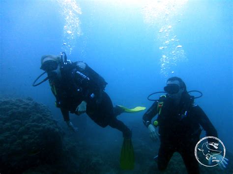 Open Water | buceoestela