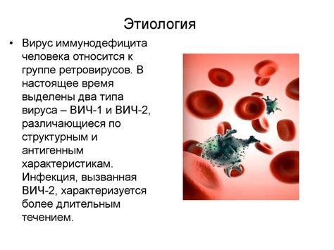 Ретровирусы. Вирус иммунодефицита человека - презентация онлайн