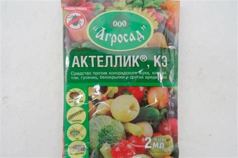 Тля на огурцах снизу листьев: как бороться, народные средства для ...