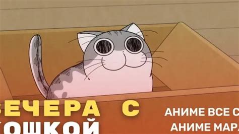 кот булочка😺😸 - YouTube