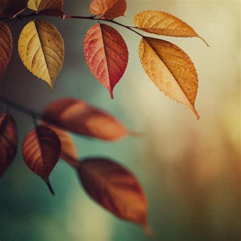 Download Leaf, Nature, Green. Royalty-Free Stock Illustration Image ...