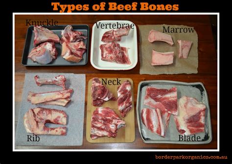 beef bones border park organics