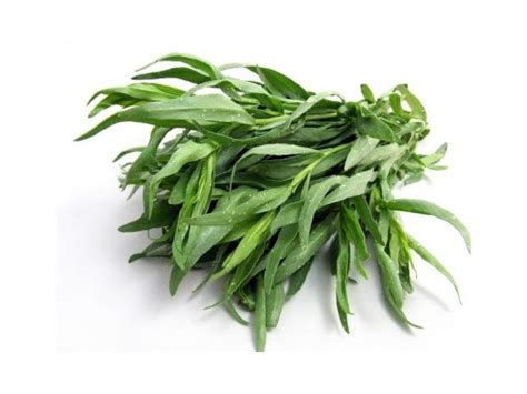 Estragão | Portugal Fresh