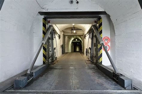 Survival Bunker - Mirror Online
