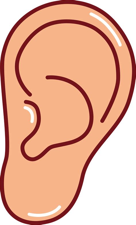 ear cliparts explore  world  hearing