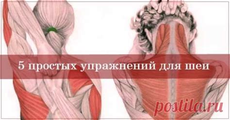Упражнения для шеи: Освобождают от зажимов и нормализуют давление — Х ...
