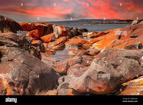 The Gardens, Bay of Fires, Tasmania, Australia Stock Photo - Alamy