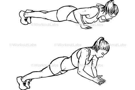 Dynamic Clap Push-ups / Pushups – WorkoutLabs Exercise Guide