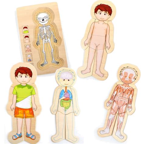 Puzzle en bois le corps humain Anatomie garçon - Un jeux des jouets
