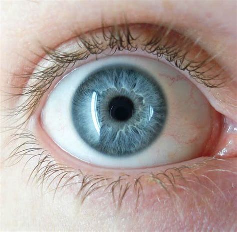 eye color reveal   personality onejivecom