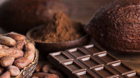 cocoa prices hit historic high rt business news