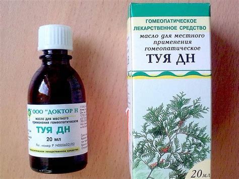 Масло туи гф и дн отличия