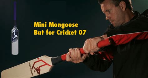 MINI MONGOOSE BAT