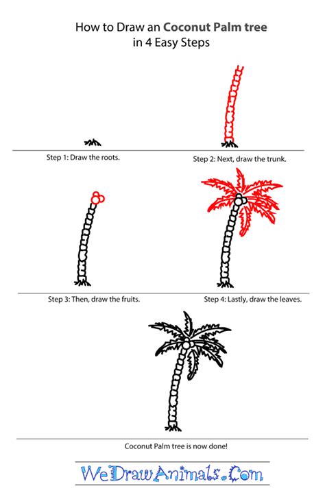 7 Steps To Unleash The Tropical Chic: A Beginner's Guide To Drawing A Stunning Coconut Palm Tree