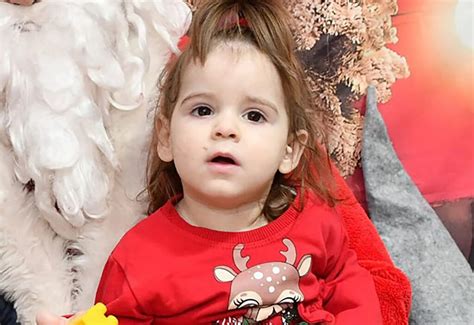 Investigation into disappearance of two-year-old Danka Ilic: Interior ...