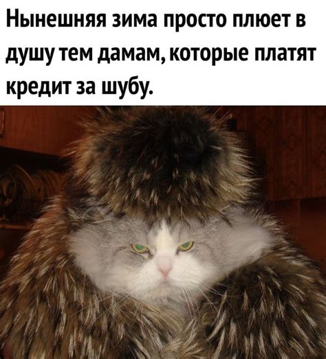 Самые смешные и прикольные картинки.