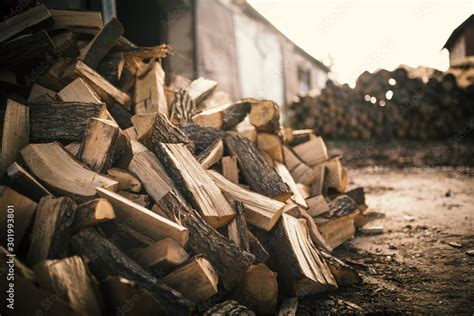 Pile of firewood on a heap. Coniferous and deciduous stacks of firewood ...