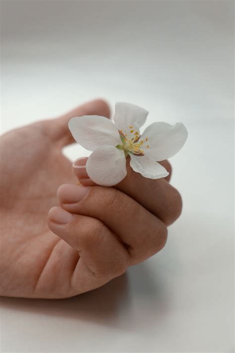 Статьи сообщества Гель-лак Миасс Nail Lab | ВКонтакте