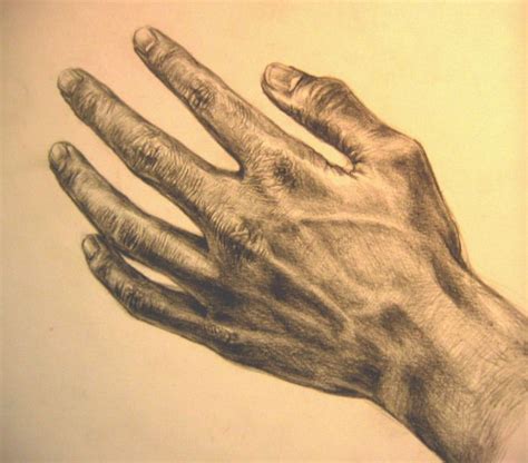 Italian Renaissance Hands (mostly Leonardo Da Vinci) | Leonardo da ...
