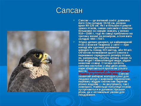 “Птахи Підкарпаття” - презентація з природознавства