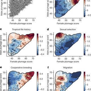 effects  life history  sexual selection  male