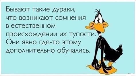 Тупые цитаты |Самые тупые цитаты, фразы и высказывания.
