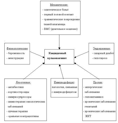 Кандидозный вульвовагинит (патогенез, клиника, диагностика, современные ...