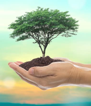 experience abundance   life diego embon life coach