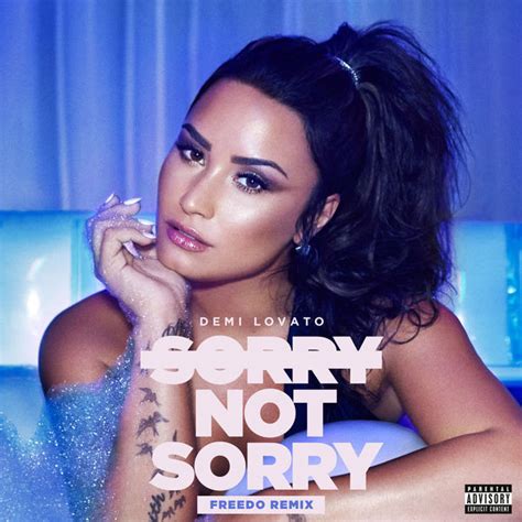 Demi Lovato - Sorry Not Sorry (Freedo Remix) (2017, File) | Discogs