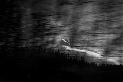 showing motion   single frame kristi odom