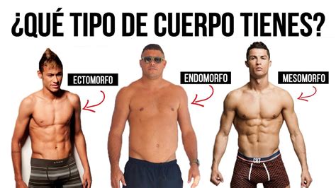 Como Saber Se Sou Endomorfo Mesomorfo Ou Ectomorfo Edulearn | Porn Sex ...