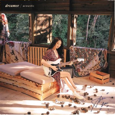 amee dreamee acoustic reviews album   year