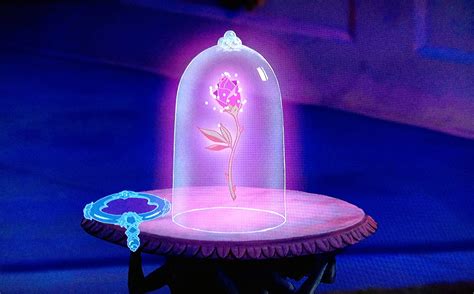Beauty and the Beast Rose Wallpapers on WallpaperDog
