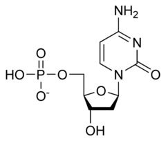 Deoxycytidine Monophosphate; DCMP; Deoxycytidylic Acid