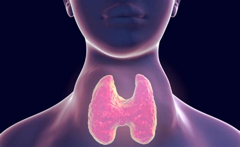 Toxic Multinodular Goiter: Causes, Symptoms, and Treatments