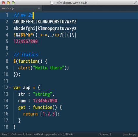top  programming fonts   text editor  terminal wes bos