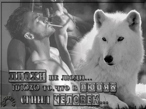 Плохи не люди...плохо то,что в людях сгнил человек... | Цитаты