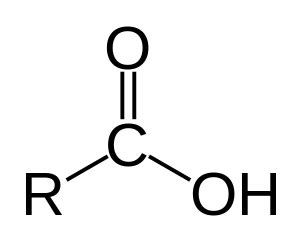 Karboksil - Türkçe Bilgi