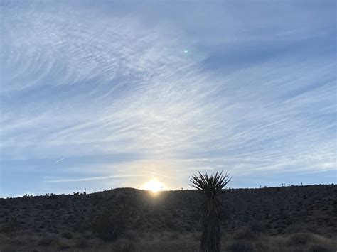 TW Pornstars - 2 pic. Rachel Aziani. Twitter. Good morning!! 🙏🏼☀️🌵😎🔥. 3