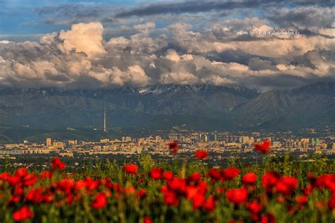 Фотограф Максим Золотухин - Алматы