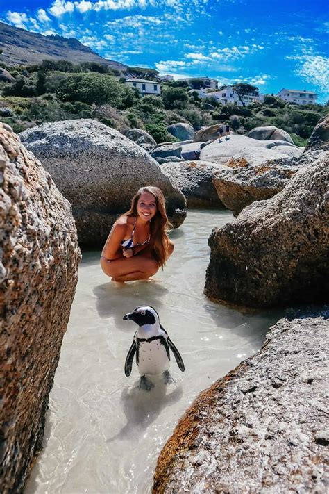 Boulders Beach Guide: Visiting the Penguin Beach in Cape Town, South ...