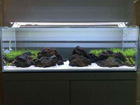 Easiest Way To Clean Aquarium Sand - Aquarium Views