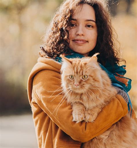 large cat breeds   great pets